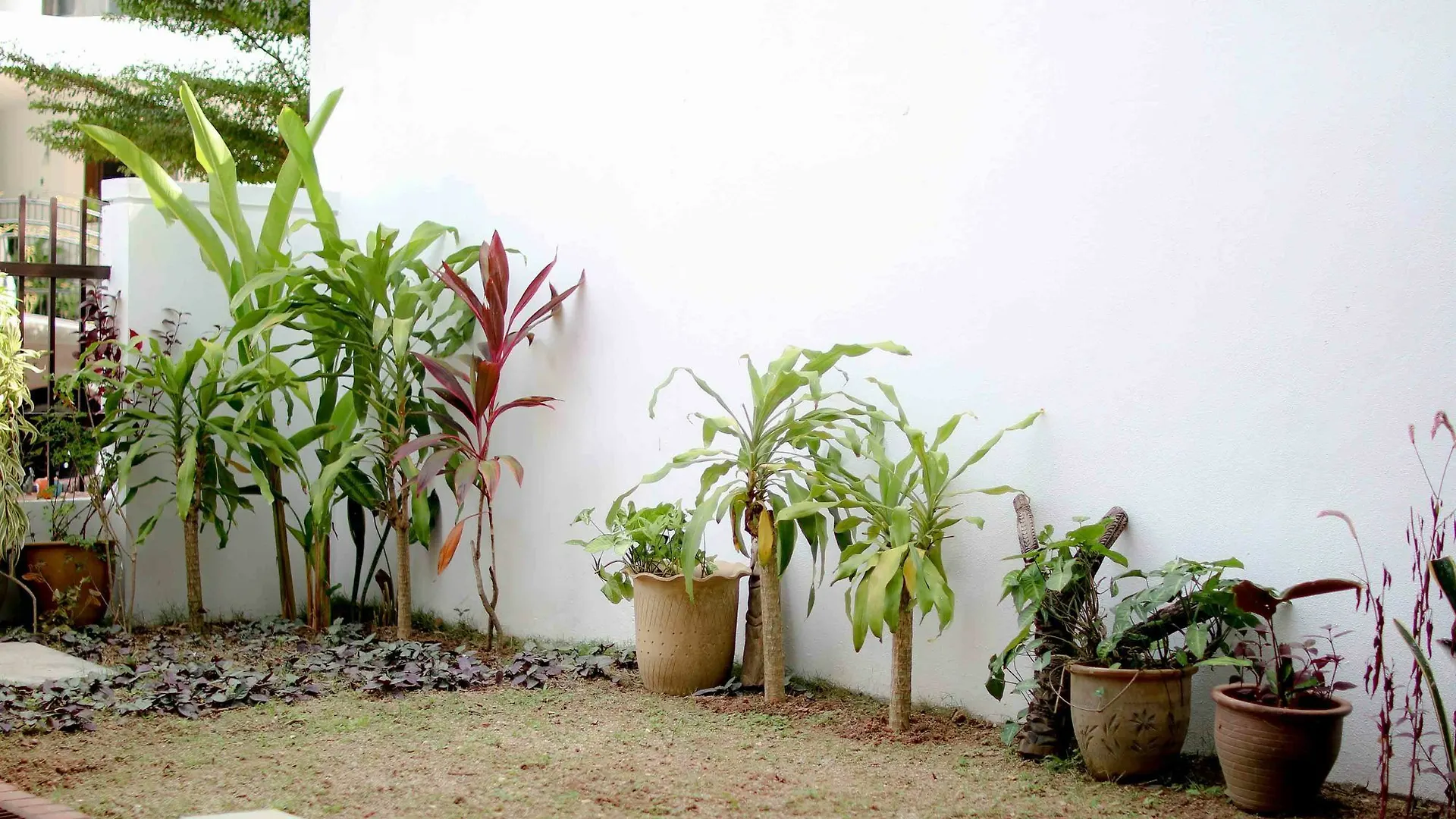 *** Szálloda Sixteen Miami Batu Ferringhi George Town Malajzia